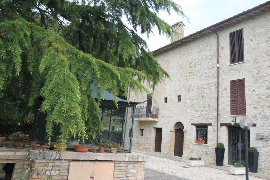 Hotel La Quiete Assisi Bagian luar foto