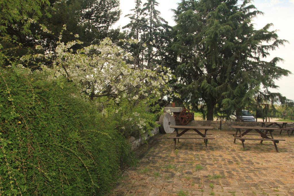 Hotel La Quiete Assisi Bagian luar foto