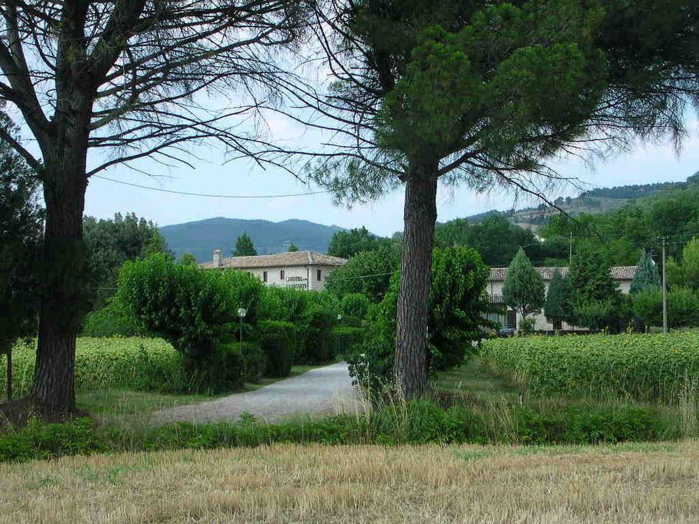 Hotel La Quiete Assisi Bagian luar foto