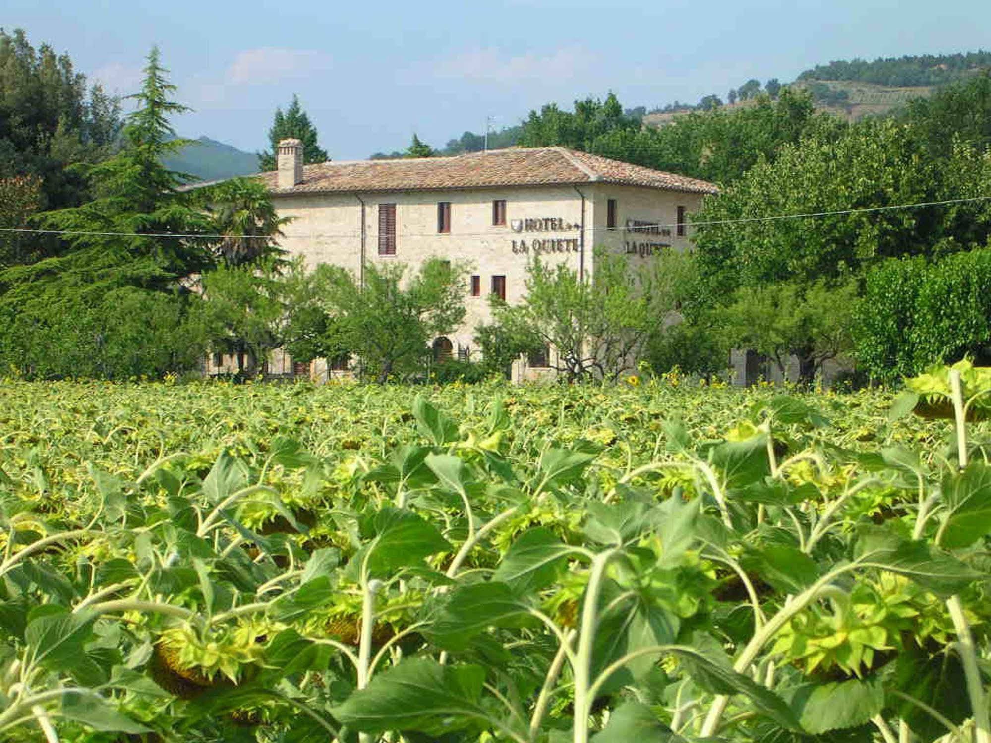 Hotel La Quiete Assisi Bagian luar foto