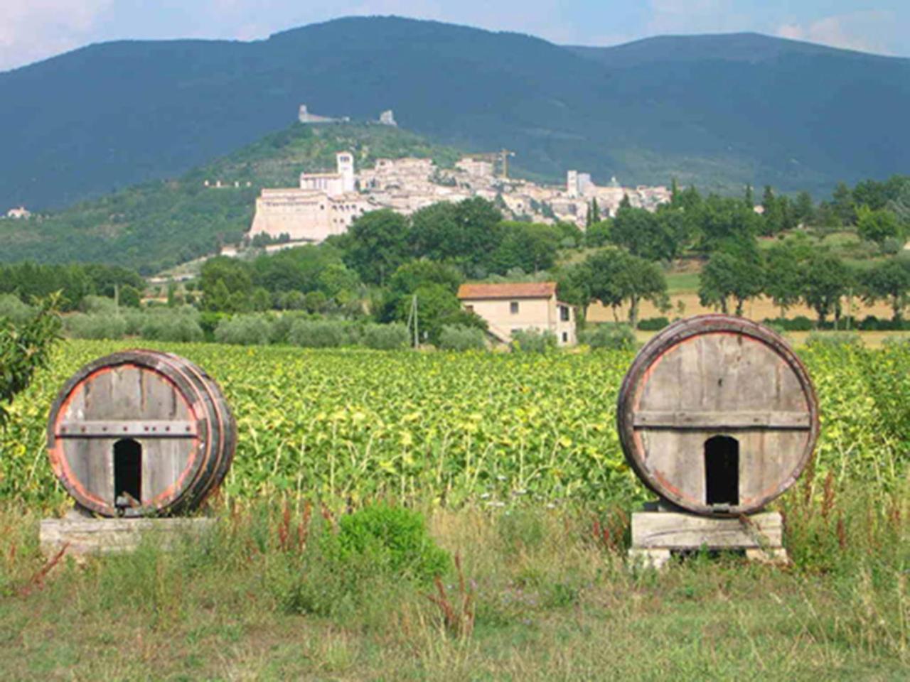 Hotel La Quiete Assisi Bagian luar foto