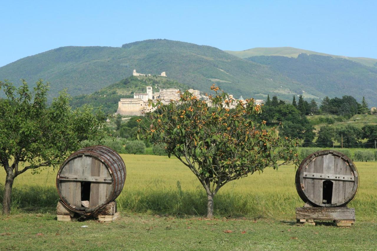 Hotel La Quiete Assisi Bagian luar foto